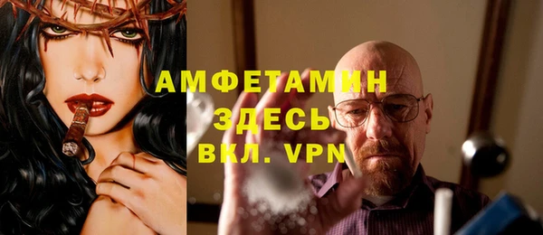 гашик Аркадак