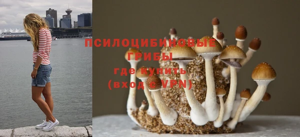 гашиш Арсеньев