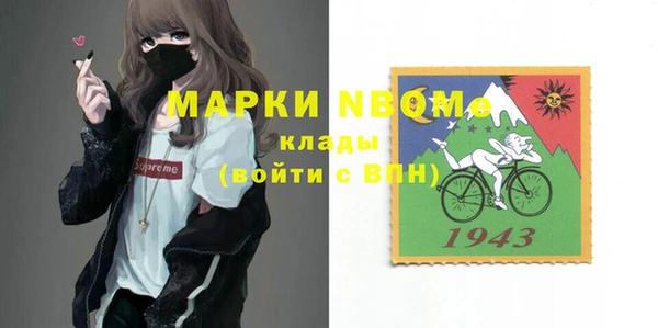 гашик Аркадак