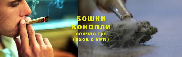 ГАЛЛЮЦИНОГЕННЫЕ ГРИБЫ Армянск