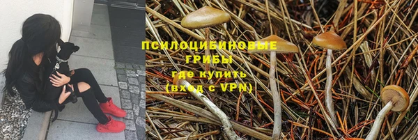 ГАЛЛЮЦИНОГЕННЫЕ ГРИБЫ Армянск
