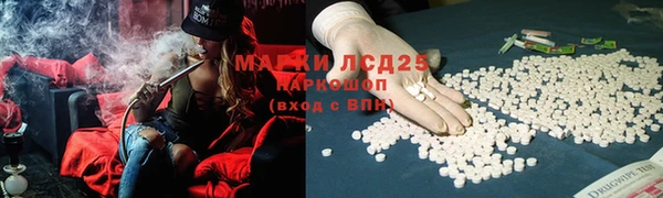 гашик Аркадак