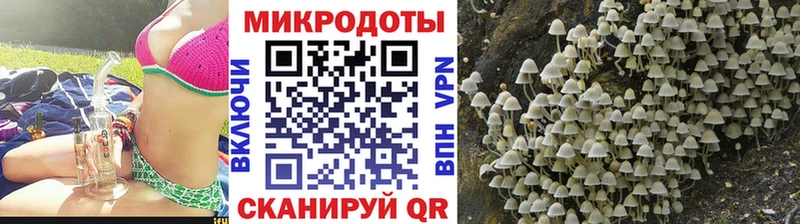 МЕГА зеркало Гудермес Псилоцибиновые грибы MAGIC MUSHROOMS
